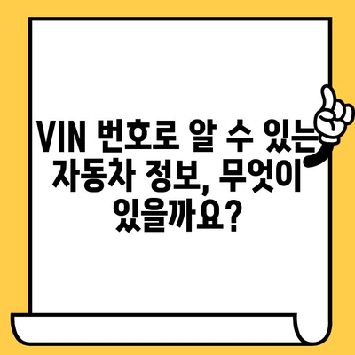 차대번호와 VIN 번호| 차이점 비교 및 조회 방법 가이드 | 자동차, 차량 정보, 번호판