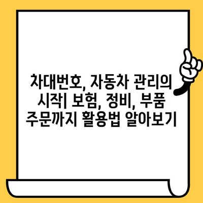 자동차 차대번호 해독| 확인 방법, 의미, 중요성 완벽 가이드 | 차량 정보, 차대번호, VIN