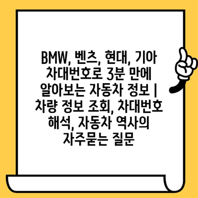 BMW, 벤츠, 현대, 기아 차대번호로 3분 만에 알아보는 자동차 정보 | 차량 정보 조회, 차대번호 해석, 자동차 역사