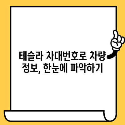 테슬라 차량 검사, 차대번호로 알 수 있는 것들 | 테슬라, 차량 검사, 차대번호, 정보 확인