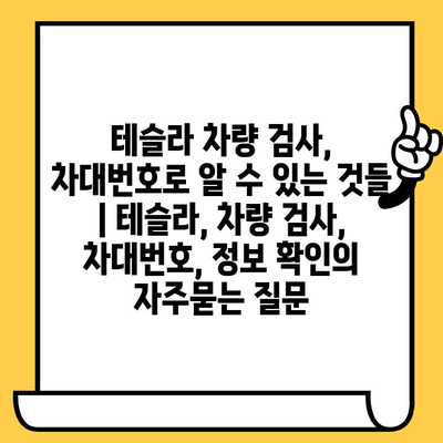 테슬라 차량 검사, 차대번호로 알 수 있는 것들 | 테슬라, 차량 검사, 차대번호, 정보 확인