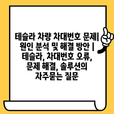 테슬라 차량 차대번호 문제| 원인 분석 및 해결 방안 | 테슬라, 차대번호 오류, 문제 해결, 솔루션
