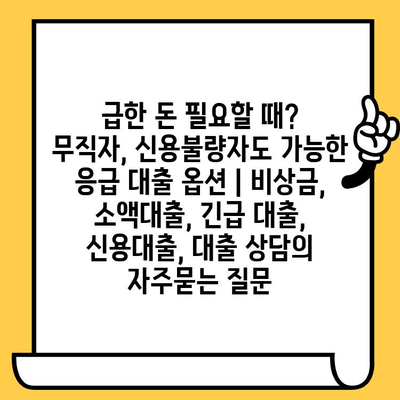 급한 돈 필요할 때? 무직자, 신용불량자도 가능한 응급 대출 옵션 | 비상금, 소액대출, 긴급 대출, 신용대출, 대출 상담