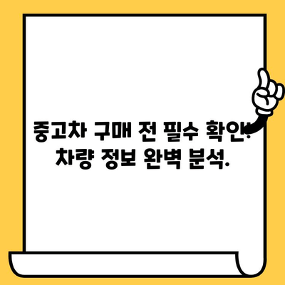 차량 소유권 베일 벗기기| 차대번호로 알 수 있는 모든 것 | 차량 정보, 소유권 확인, 차량 이력