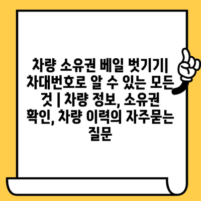 차량 소유권 베일 벗기기| 차대번호로 알 수 있는 모든 것 | 차량 정보, 소유권 확인, 차량 이력