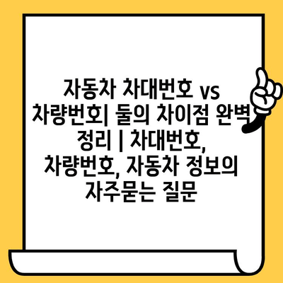 자동차 차대번호 vs 차량번호| 둘의 차이점 완벽 정리 | 차대번호, 차량번호, 자동차 정보