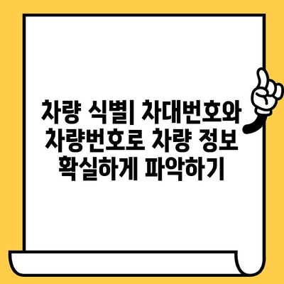 차량 식별 완벽 가이드| 차대번호와 차량번호로 내 차 정보 알아보기 | 차량 정보 확인, 차량 조회, 차량 식별