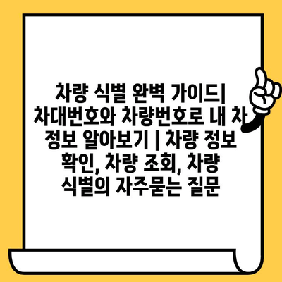 차량 식별 완벽 가이드| 차대번호와 차량번호로 내 차 정보 알아보기 | 차량 정보 확인, 차량 조회, 차량 식별