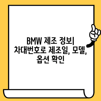 BMW 차량의 생산 정보 확인| 차대번호로 제조일, 모델, 옵션까지 알아보기 | 차량 정보 조회, 생산 정보, 차대번호 활용