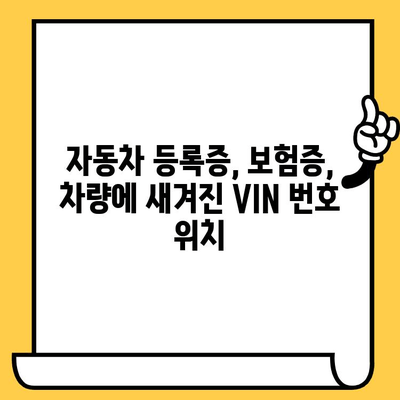 BMW, 벤츠, 현대, 기아 차대번호 위치 확인| 쉽고 빠르게 찾는 방법 | 자동차, 차량 정보, VIN