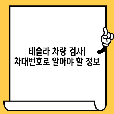 테슬라 자동차 검사| 차대번호 이슈 해결 가이드 | 차량 정보, 문제 해결, 주의 사항