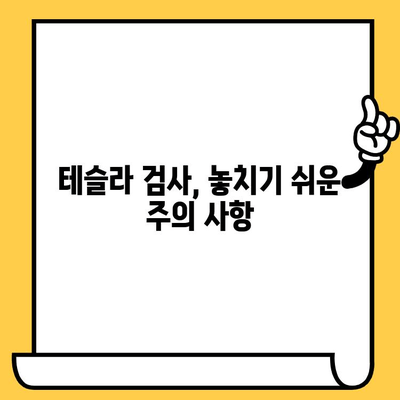 테슬라 자동차 검사| 차대번호 이슈 해결 가이드 | 차량 정보, 문제 해결, 주의 사항