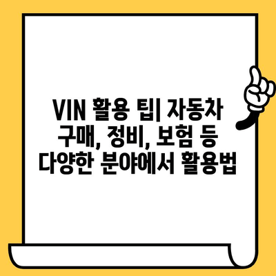 자동차 차대번호 해독| 의미와 조회 방법 완벽 가이드 | VIN, 차량 정보, 조회 사이트