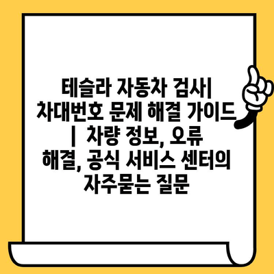 테슬라 자동차 검사| 차대번호 문제 해결 가이드 |  차량 정보, 오류 해결, 공식 서비스 센터