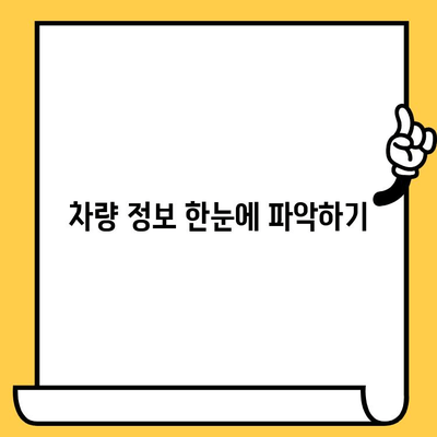 차량 정보 확인 끝판왕| 차대번호 쉽게 찾는 방법 & 위치 총정리 | 자동차, 차량 조회, 정보 확인