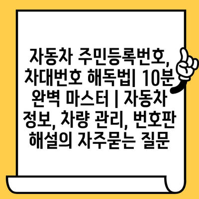 자동차 주민등록번호, 차대번호 해독법| 10분 완벽 마스터 | 자동차 정보, 차량 관리, 번호판 해설