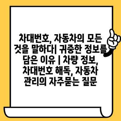 차대번호, 자동차의 모든 것을 말하다| 귀중한 정보를 담은 이유 | 차량 정보, 차대번호 해독, 자동차 관리