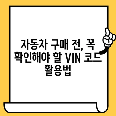 자동차 차대번호 확인 & 의미 완벽 해설 | 차량 정보, 조회 방법, VIN 코드