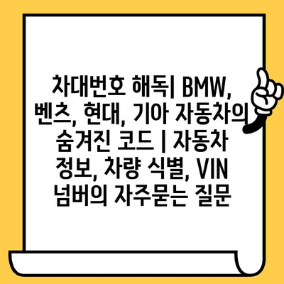 차대번호 해독| BMW, 벤츠, 현대, 기아 자동차의 숨겨진 코드 | 자동차 정보, 차량 식별, VIN 넘버