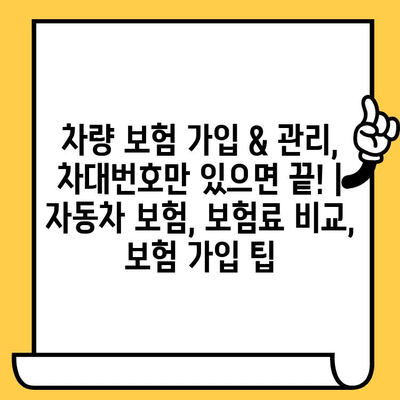 차량 보험 가입 & 관리, 차대번호만 있으면 끝! | 자동차 보험, 보험료 비교, 보험 가입 팁