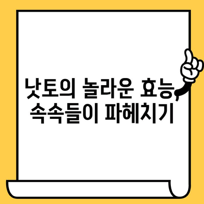 낫토의 놀라운 효능과 영양 정보 완벽 분석 | 칼로리, 영양성분, 유통기한, 섭취 가이드