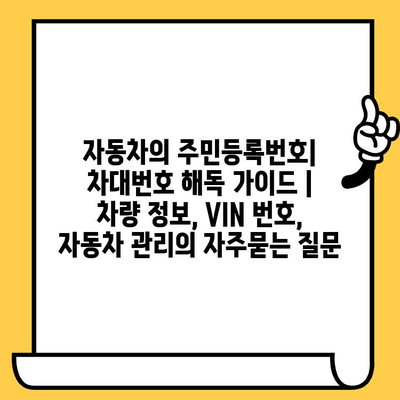 자동차의 주민등록번호| 차대번호 해독 가이드 | 차량 정보, VIN 번호, 자동차 관리