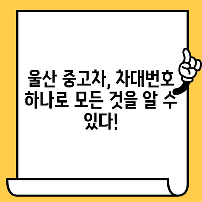 울산 중고차| 차대번호로 숨겨진 차량의 비밀을 밝혀내는 방법 | 중고차 검증, 차량 정보 조회, 믿을 수 있는 매물 찾기