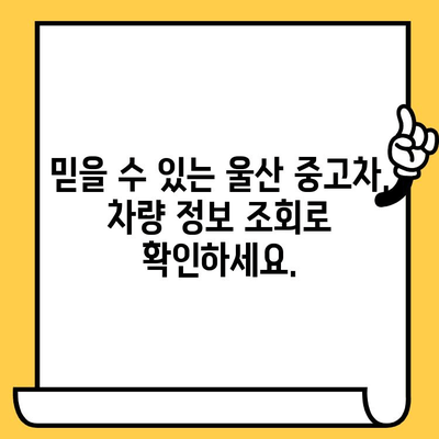 울산 중고차| 차대번호로 숨겨진 차량의 비밀을 밝혀내는 방법 | 중고차 검증, 차량 정보 조회, 믿을 수 있는 매물 찾기