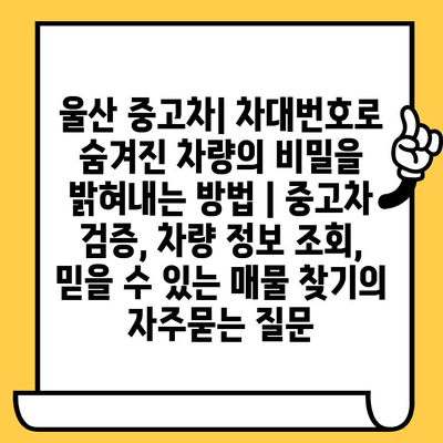 울산 중고차| 차대번호로 숨겨진 차량의 비밀을 밝혀내는 방법 | 중고차 검증, 차량 정보 조회, 믿을 수 있는 매물 찾기