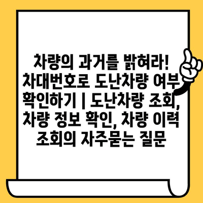 차량의 과거를 밝혀라! 차대번호로 도난차량 여부 확인하기 | 도난차량 조회, 차량 정보 확인, 차량 이력 조회