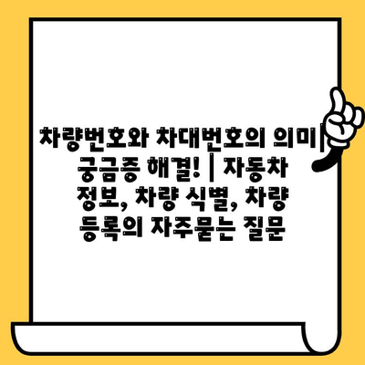 차량번호와 차대번호의 의미| 궁금증 해결! | 자동차 정보, 차량 식별, 차량 등록