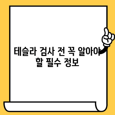 테슬라 자동차 검사| 차대번호 문제 해결 가이드 | 차량 정보 확인, 오류 해결 팁, 검사 방법