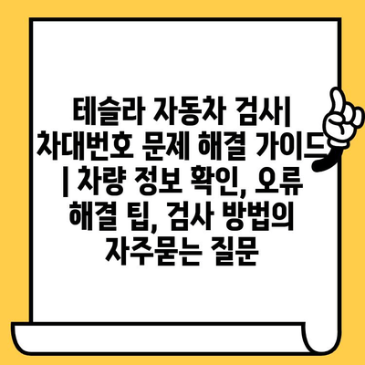 테슬라 자동차 검사| 차대번호 문제 해결 가이드 | 차량 정보 확인, 오류 해결 팁, 검사 방법