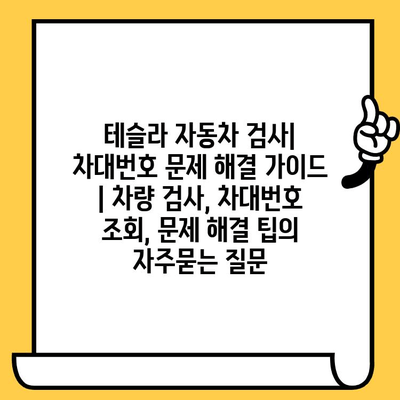 테슬라 자동차 검사| 차대번호 문제 해결 가이드 | 차량 검사, 차대번호 조회, 문제 해결 팁