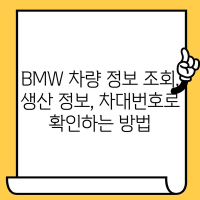 BMW 차량 정보 확인| 차대번호로 생산일 알아보기 | 차량 정보 조회, 생산 정보, BMW