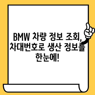 BMW 차량 정보 확인| 차대번호로 생산일 알아보기 | 차량 정보 조회, 생산 정보, BMW