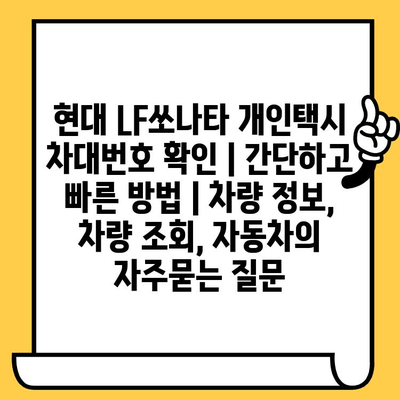 현대 LF쏘나타 개인택시 차대번호 확인 | 간단하고 빠른 방법 | 차량 정보, 차량 조회, 자동차