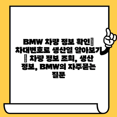 BMW 차량 정보 확인| 차대번호로 생산일 알아보기 | 차량 정보 조회, 생산 정보, BMW