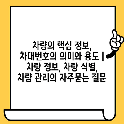 차량의 핵심 정보, 차대번호의 의미와 용도 | 차량 정보, 차량 식별, 차량 관리