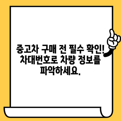 차량 정보 확인의 필수! 차대번호로 알 수 있는 모든 것 | 차량 정보, 차대번호 해독, 자동차 정보