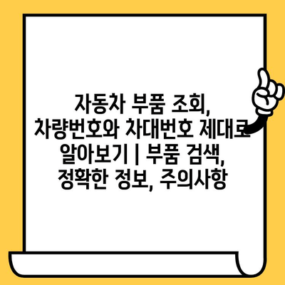 자동차 부품 조회, 차량번호와 차대번호 제대로 알아보기 | 부품 검색, 정확한 정보, 주의사항