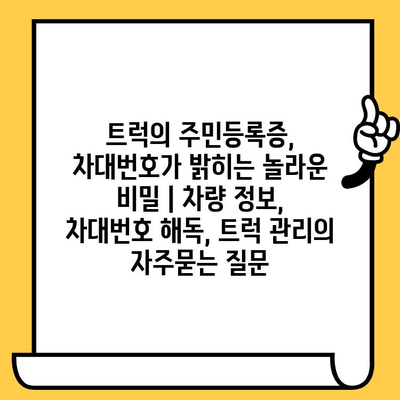 트럭의 주민등록증, 차대번호가 밝히는 놀라운 비밀 | 차량 정보, 차대번호 해독, 트럭 관리