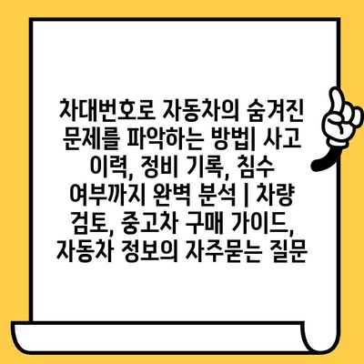 차대번호로 자동차의 숨겨진 문제를 파악하는 방법| 사고 이력, 정비 기록, 침수 여부까지 완벽 분석 | 차량 검토, 중고차 구매 가이드, 자동차 정보