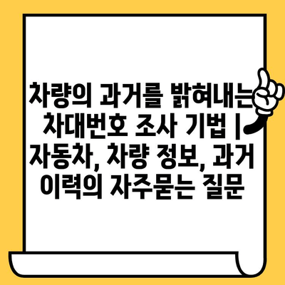 차량의 과거를 밝혀내는 차대번호 조사 기법 | 자동차, 차량 정보, 과거 이력