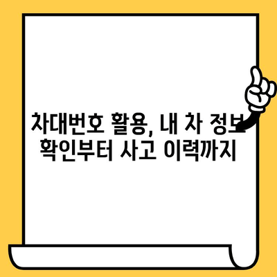 차량 식별의 핵심, 차대번호| 의미와 활용 가이드 | 차량 정보, 자동차, 식별 번호, 조회