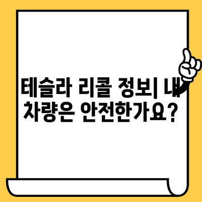 테슬라 차대번호로 이슈 분석하기| 문제 해결 팁 & 주요 이슈 정리 | 테슬라, 차량 문제, 진단, 해결 방안, 리콜