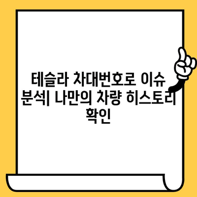 테슬라 차대번호로 이슈 분석하기| 문제 해결 팁 & 주요 이슈 정리 | 테슬라, 차량 문제, 진단, 해결 방안, 리콜