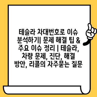 테슬라 차대번호로 이슈 분석하기| 문제 해결 팁 & 주요 이슈 정리 | 테슬라, 차량 문제, 진단, 해결 방안, 리콜