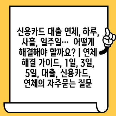 신용카드 대출 연체, 하루, 사흘, 일주일…  어떻게 해결해야 할까요? | 연체 해결 가이드, 1일, 3일, 5일, 대출, 신용카드, 연체