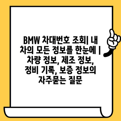 BMW 차대번호 조회| 내 차의 모든 정보를 한눈에 | 차량 정보, 제조 정보, 정비 기록, 보증 정보